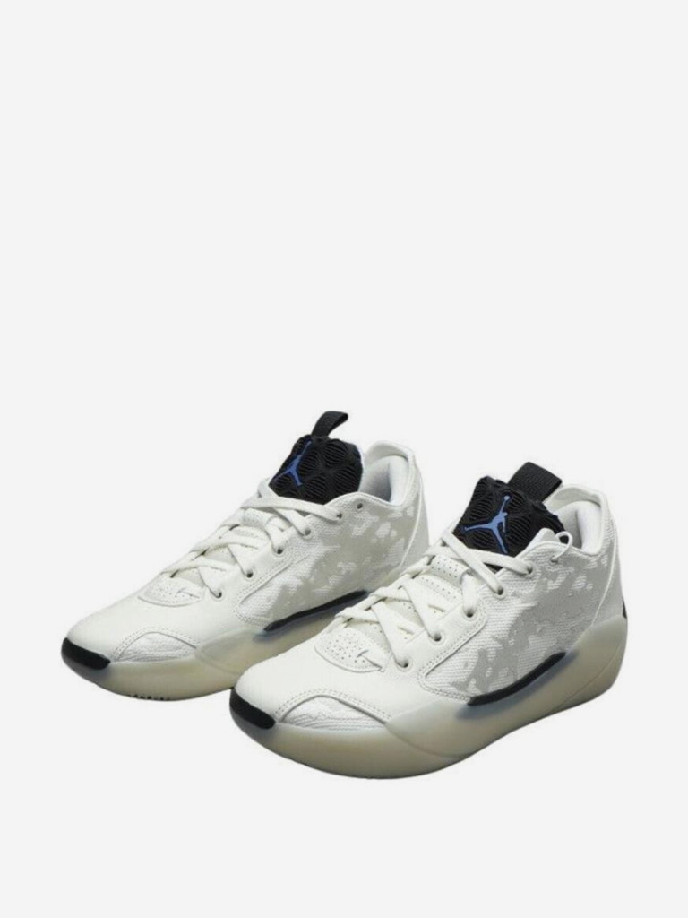 Кроссовки мужские Jordan Air Jordan 39