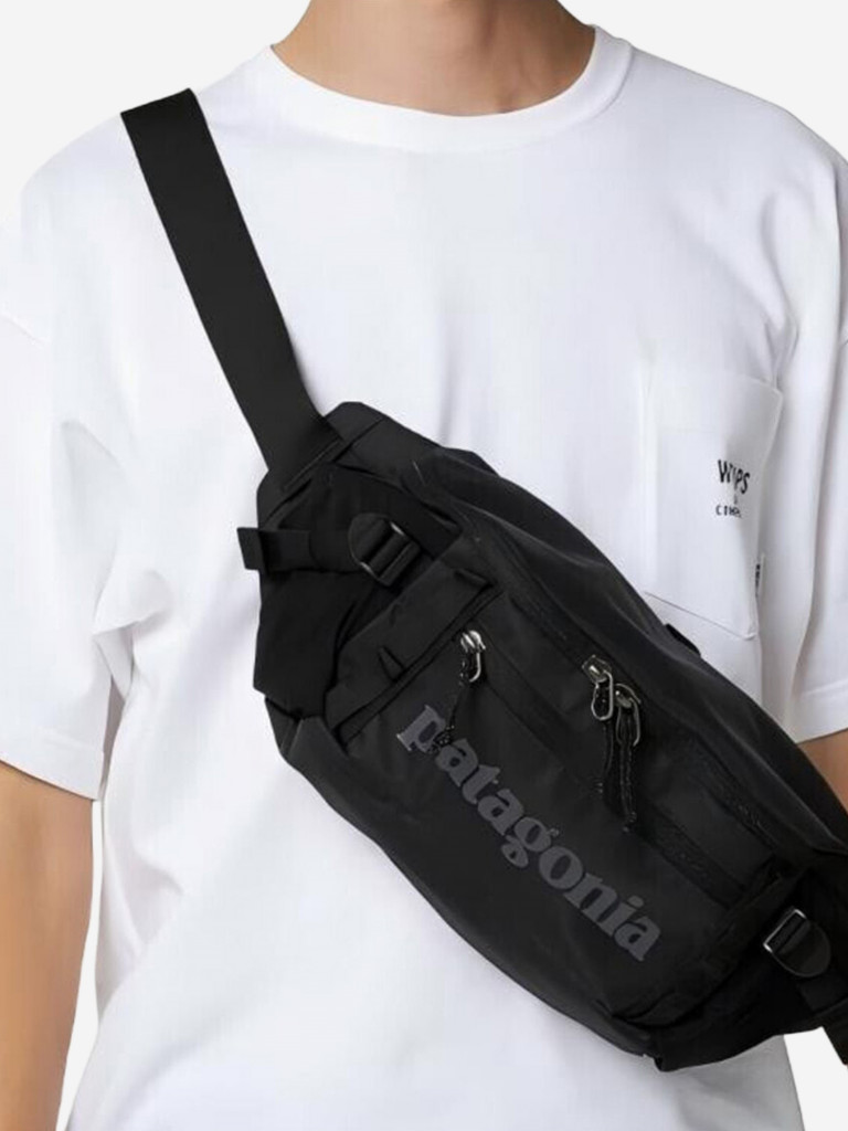 Сумка поясная Patagonia Black Hole Waist Pack 5L