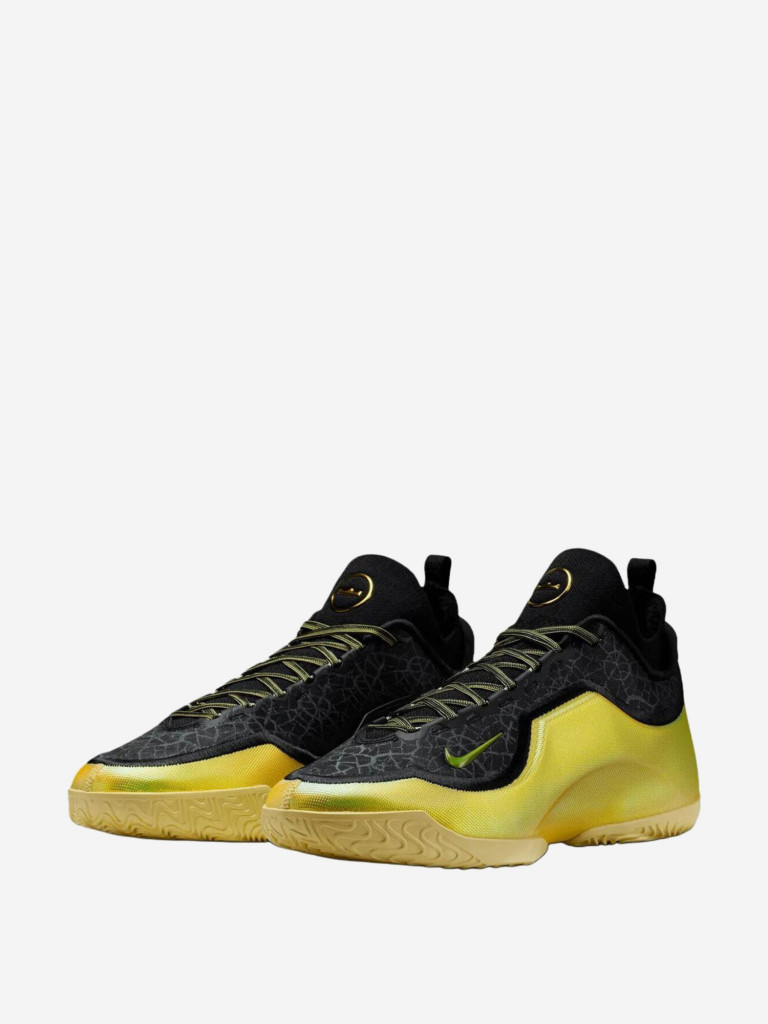 Кроссовки для бавкетбола Nike Lebron 23
