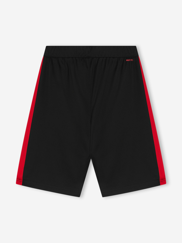 Шорты для мальчиков Demix