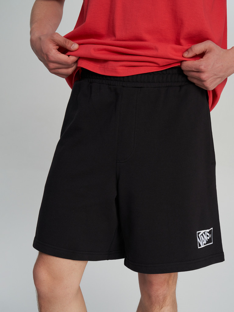 Шорты мужские Vans Blocked Box