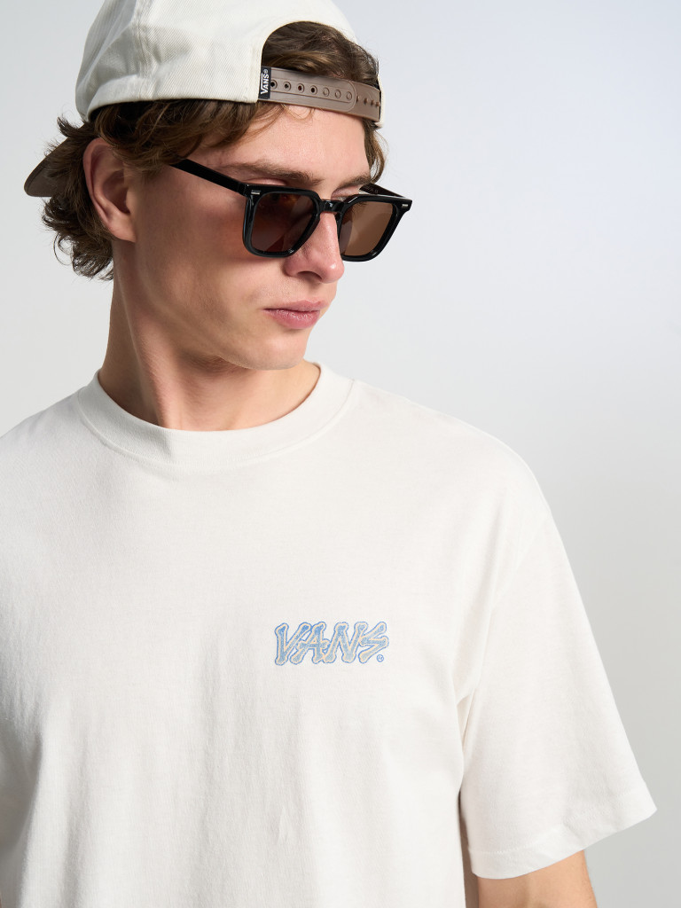 Футболка мужская Vans Bones