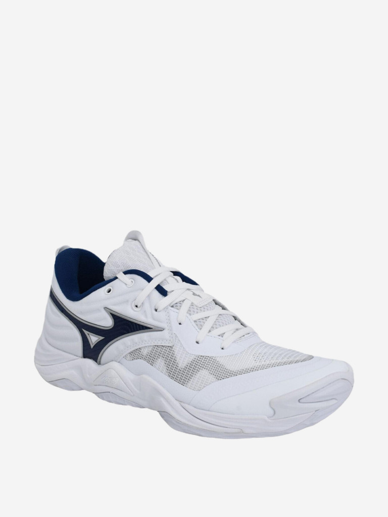 Кроссовки мужские Mizuno Wave Momentum Elite