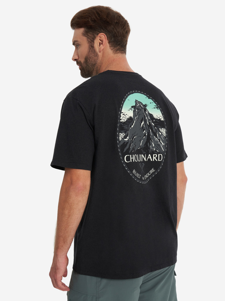 Футболка мужская Patagonia Chouinard Crest