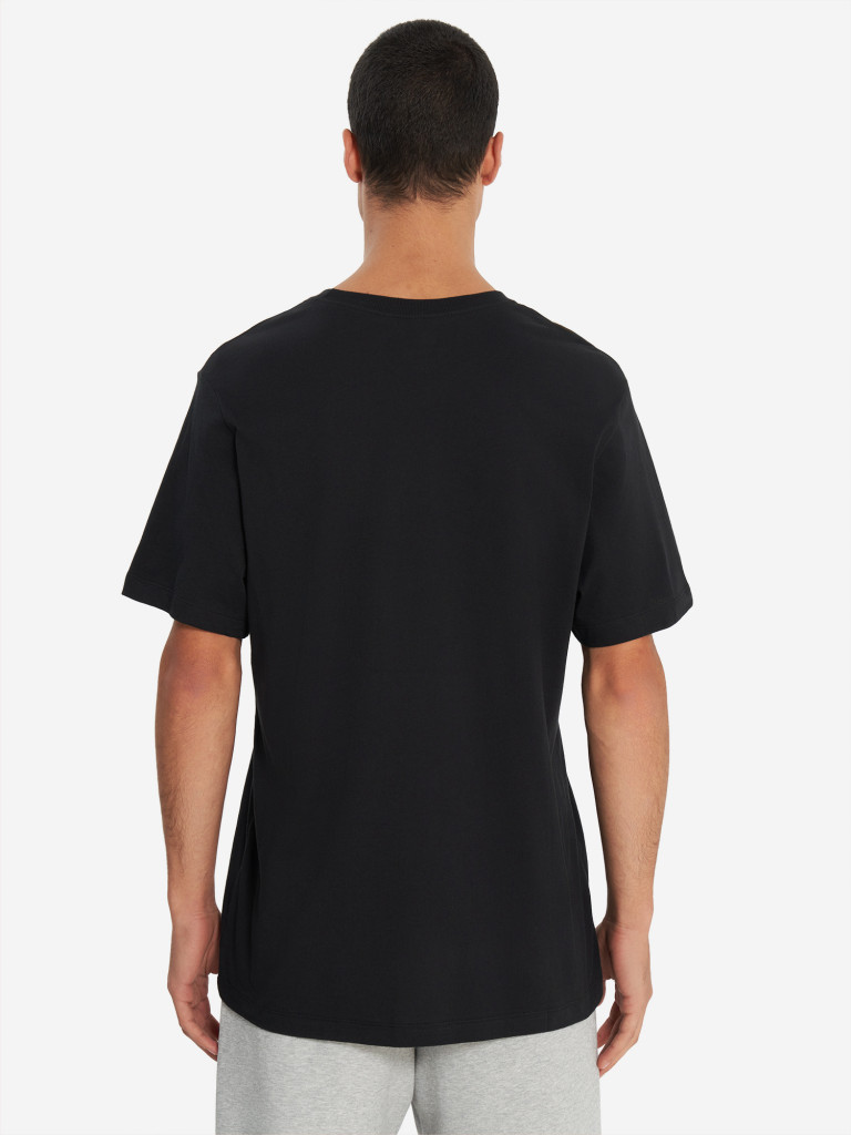 Футболка мужская Nike