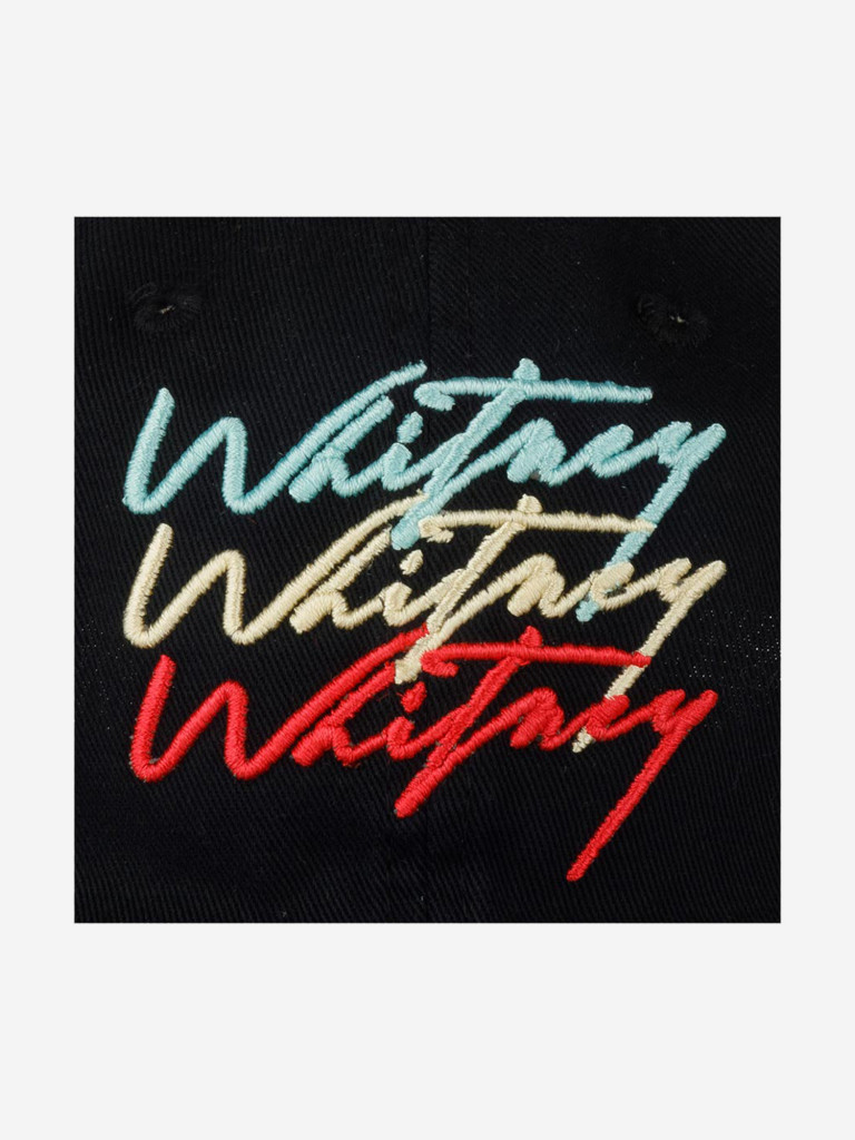 Бейсболка AMERICAN NEEDLE 20001A-WHITNEY Whitney Houston Ballpark (черный)