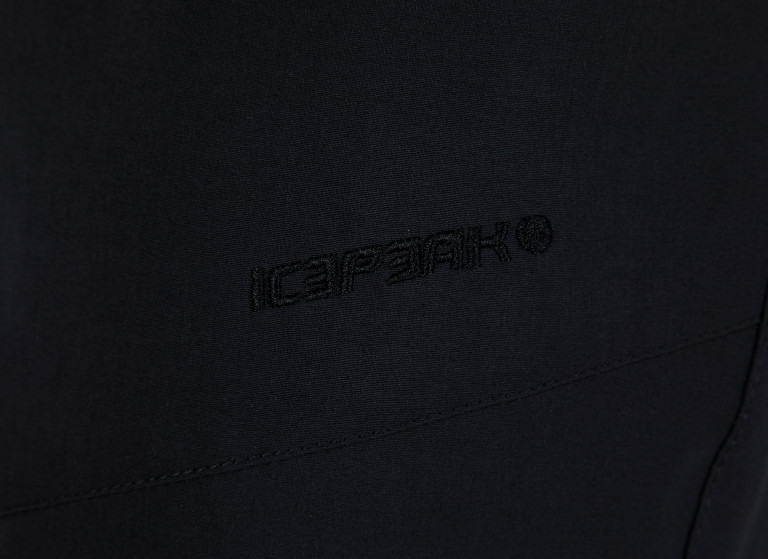 Брюки мужские IcePeak Sky