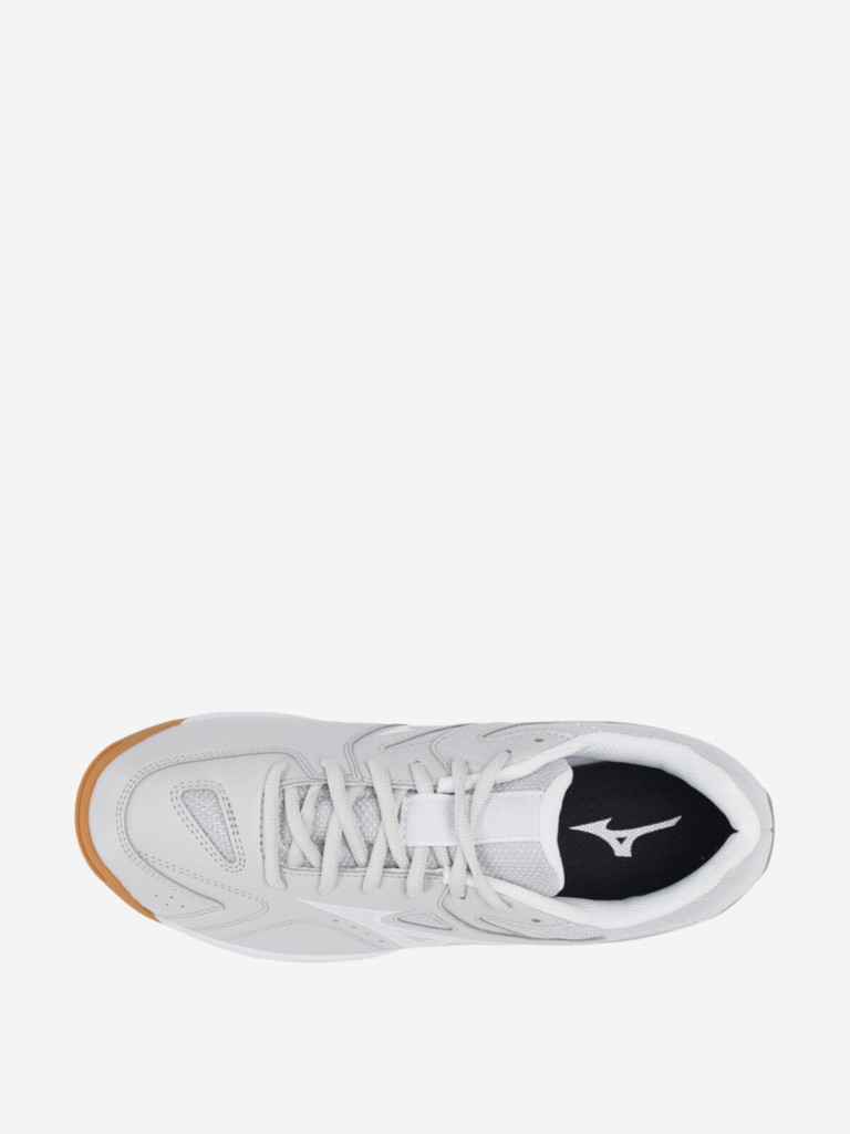 Кроссовки мужские Mizuno Sky Blaster