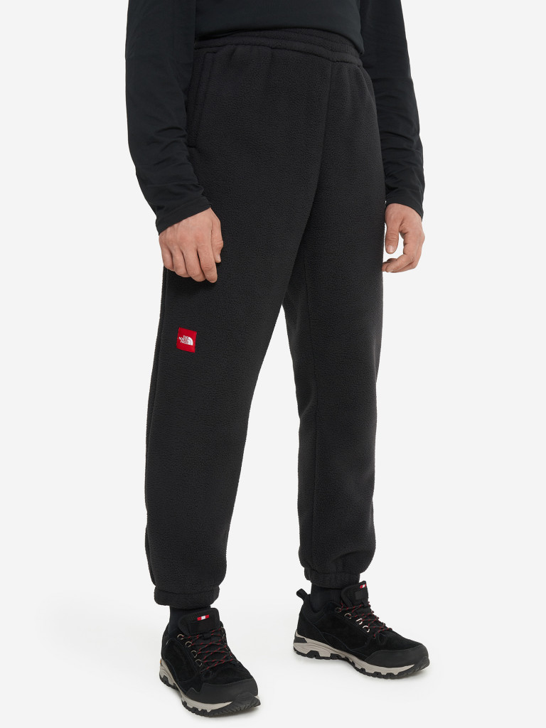 Брюки флисовые мужские The North Face Fleeski
