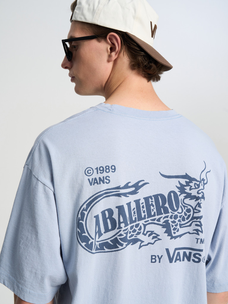 Футболка мужская Vans Caballero