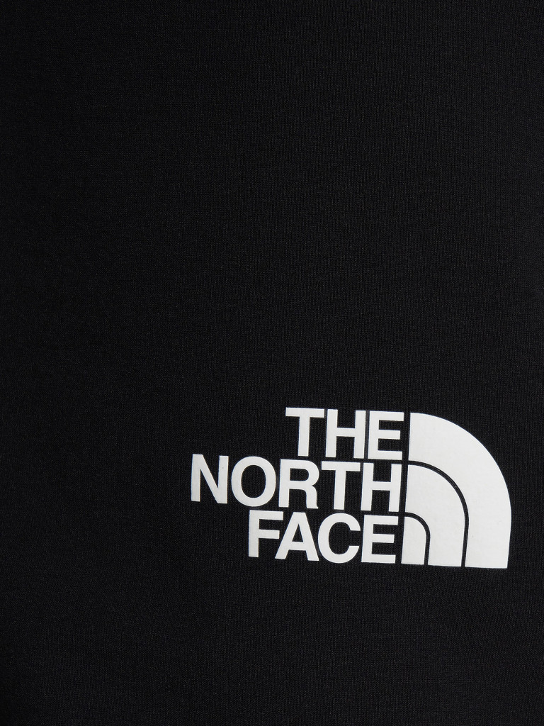 Брюки мужские The North Face Speedlight