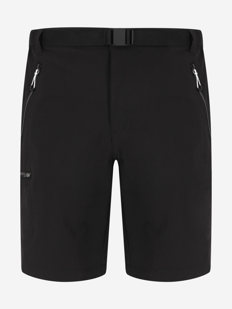 Шорты мужские Regatta Xert III