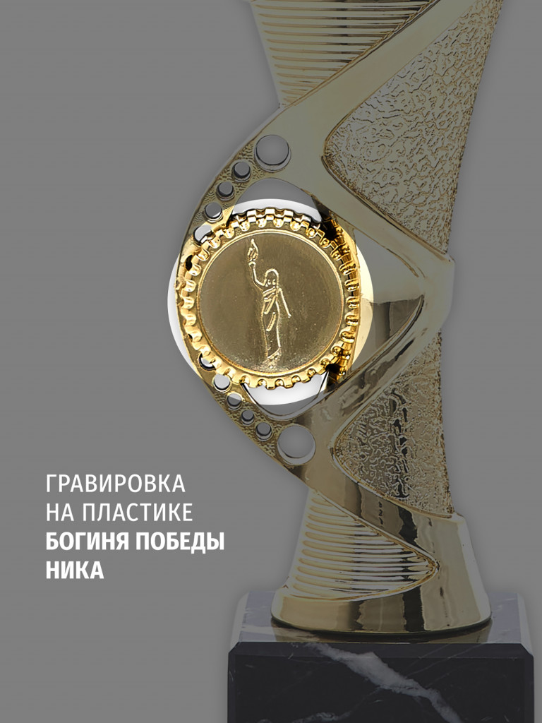 Спортивный кубок для награждения победителя 23 см