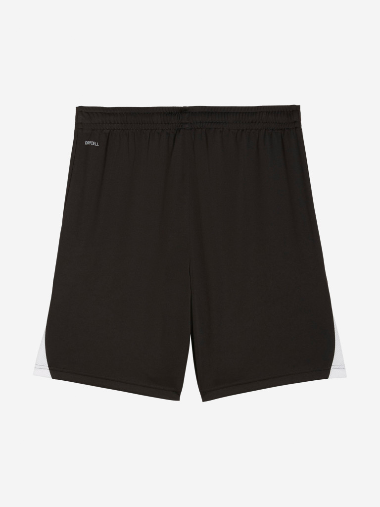 Шорты мужские PUMA Teamliga26