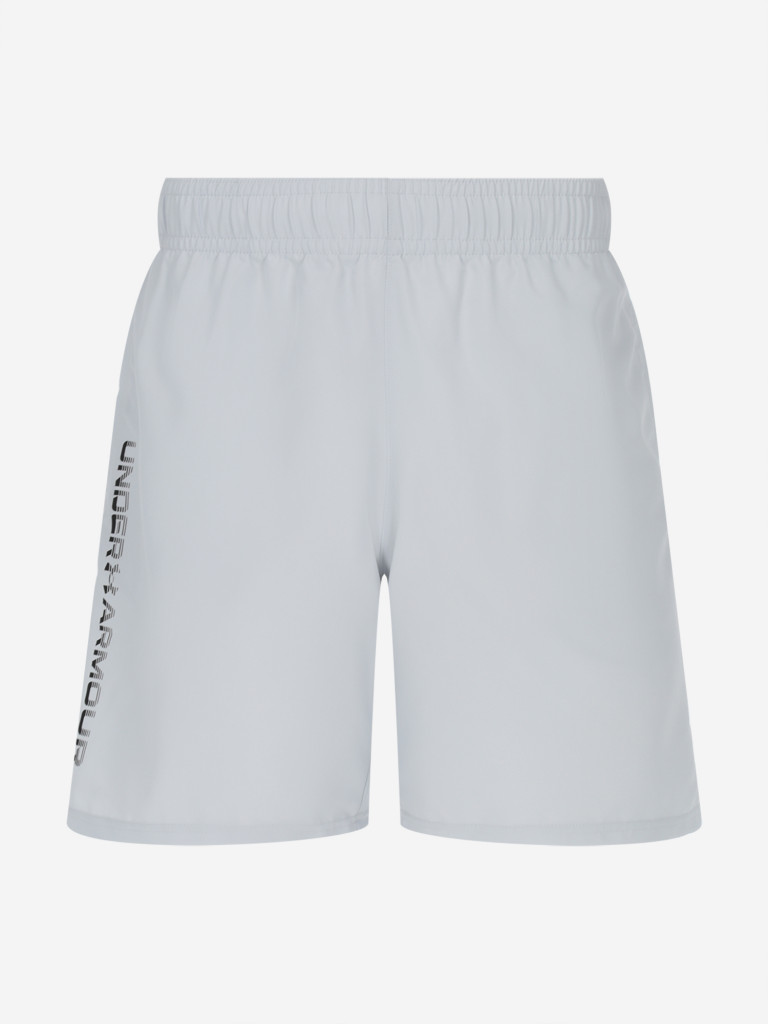 Шорты мужские Under Armour