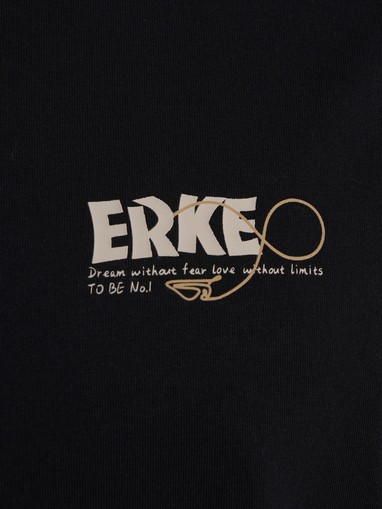 Футболка мужская Erke