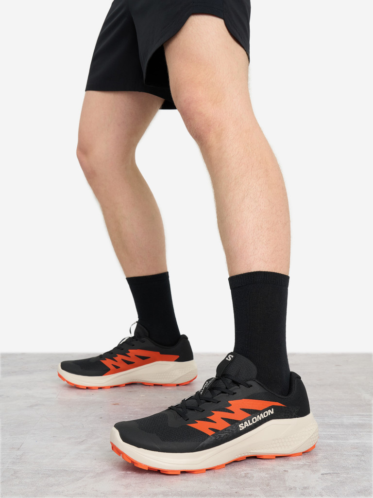 Кроссовки мужские Salomon Alphaglide