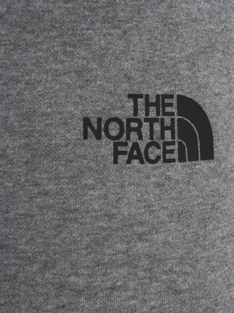 Брюки мужские The North Face Simple Dome