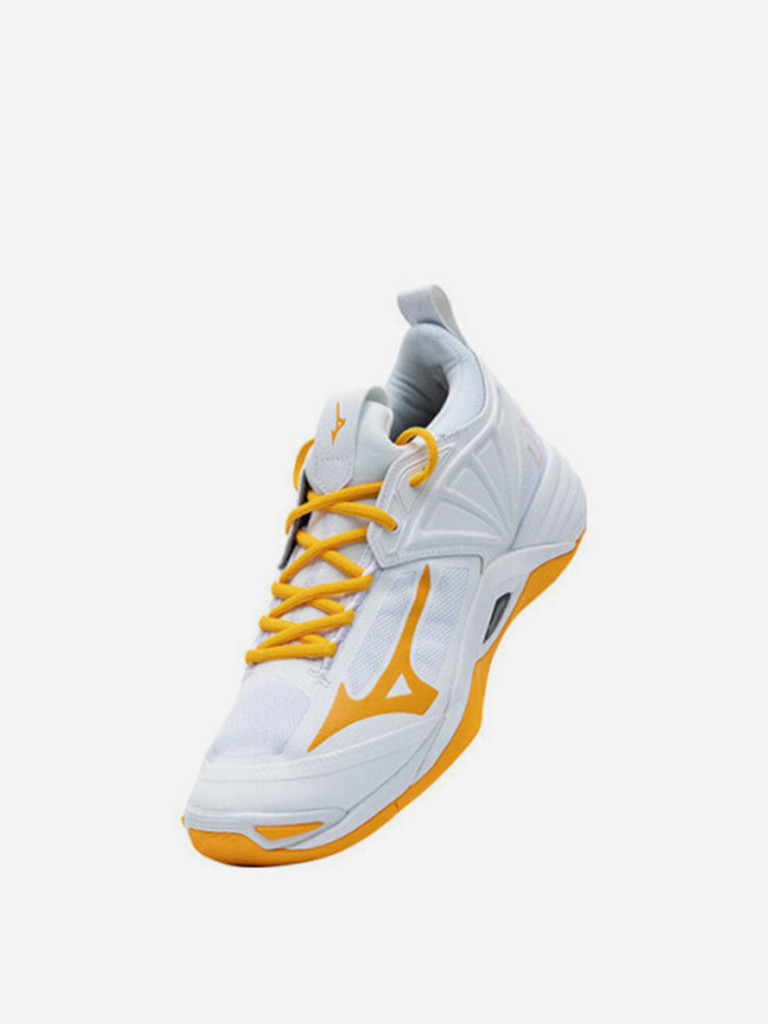 Кроссовки Mizuno Momentum 2