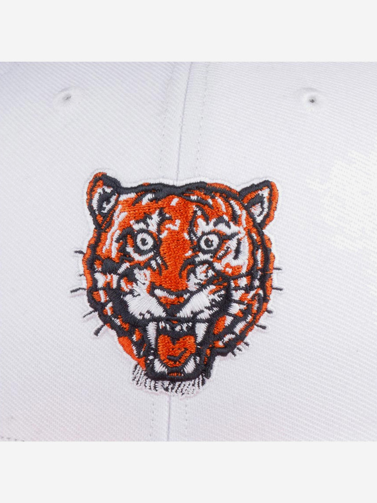 Бейсболка с сеточкой 47 BRAND BCPTN-CLZRP09WBP Detroit Tigers MLB
