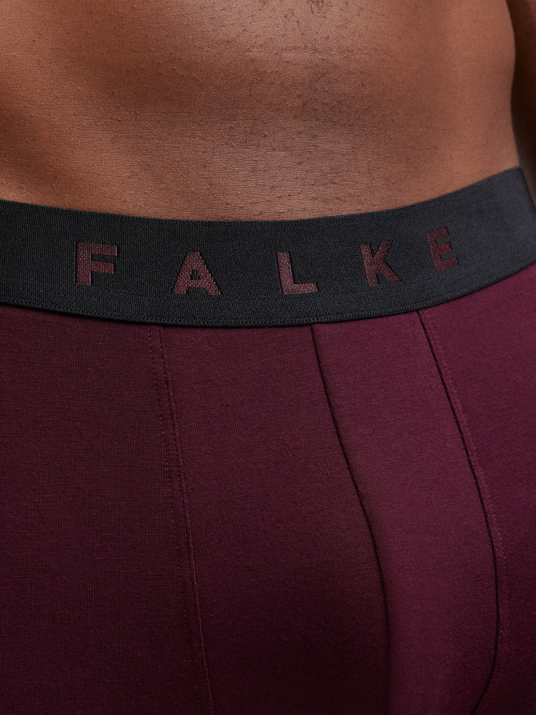 Набор мужских трусов FALKE