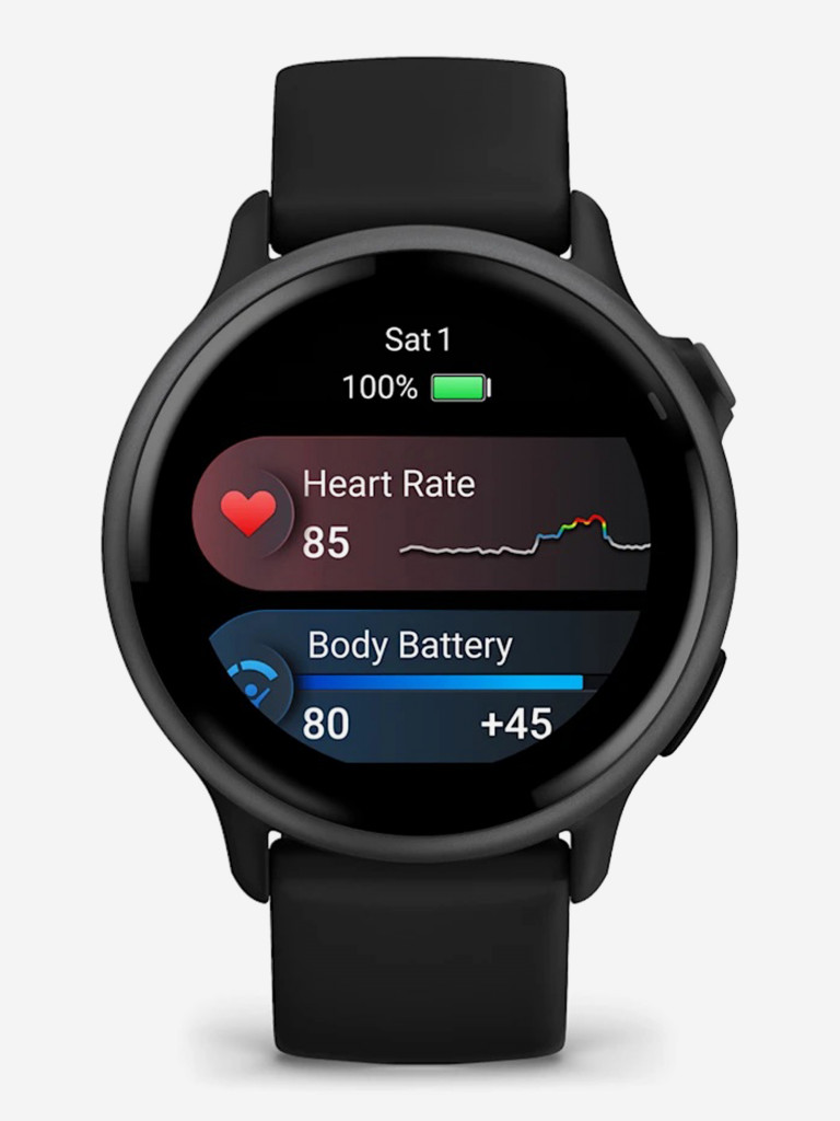 Спортивные часы GARMIN Vivoactive 6