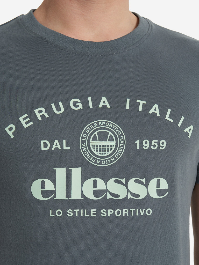 Футболка мужская Ellesse
