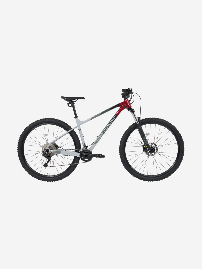 Велосипед горный Polygon Xtrada 5 29 Мультицвет 91999₽