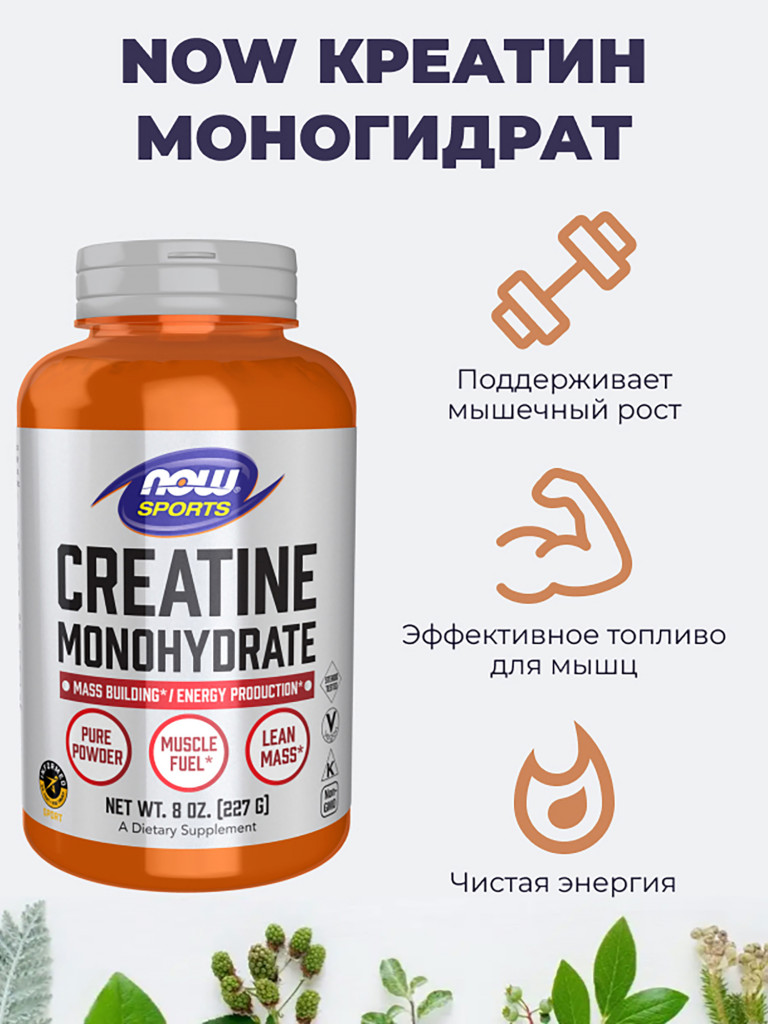 NOW Креатин Моногидрат 227 г, порошок