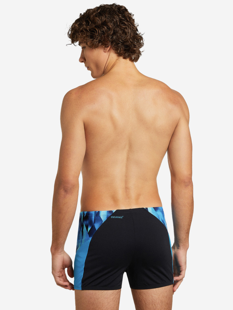 Плавки-шорты мужские Speedo Eco