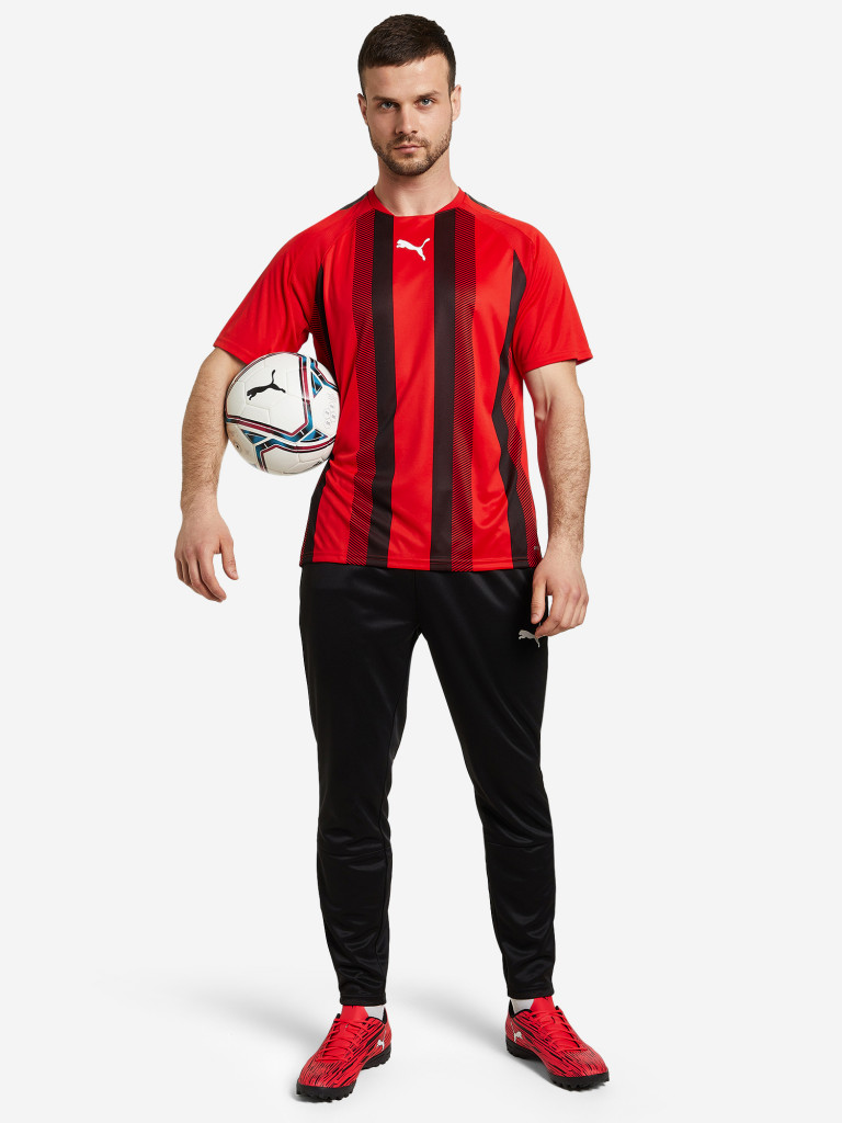 Футболка мужская PUMA teamLIGA Striped Jersey