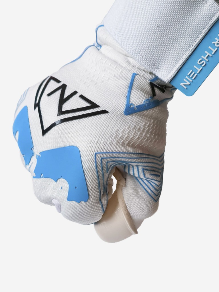 Вратарские перчатки Northstein Evolyx Pro CL4, бело-голубые
