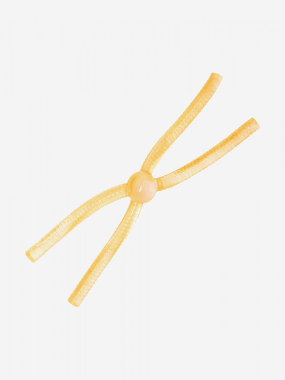 Силикон TROUT LURE (SANSAN) в банке, DOSHIK-X 80, СЫР,COL. 106 (Clear Orange/Orange Glow), (12шт)