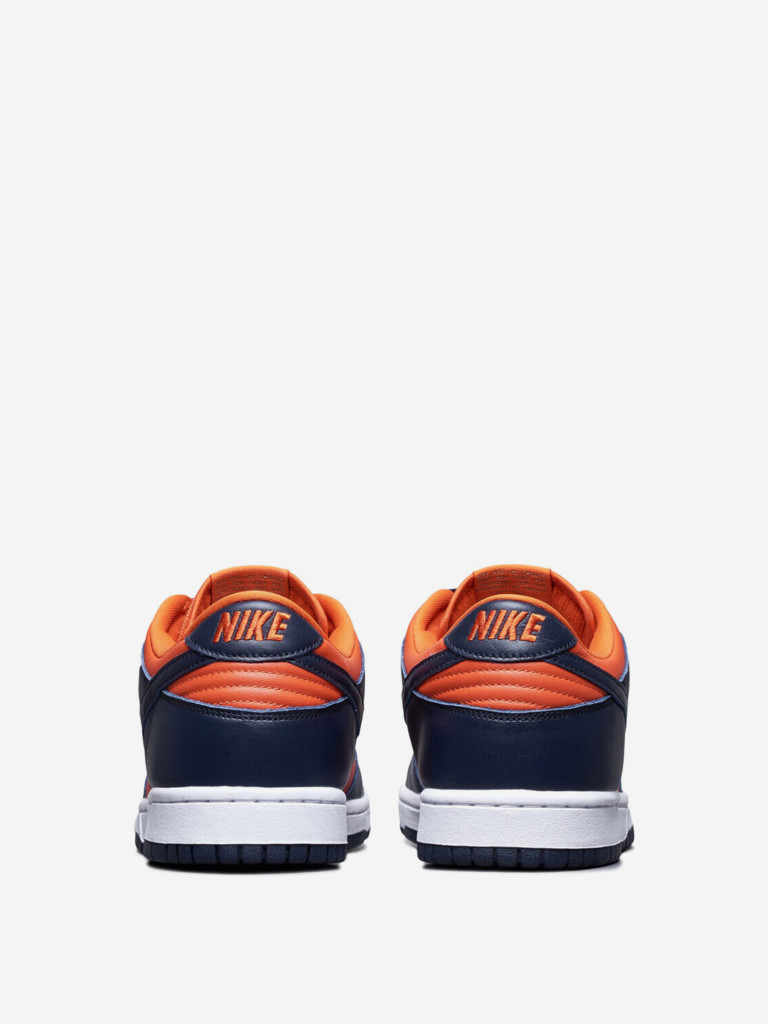 Кеды мужские Nike Dunk Low SP