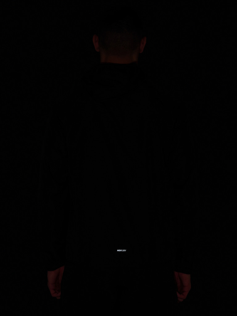 Ветровка мужская Demix