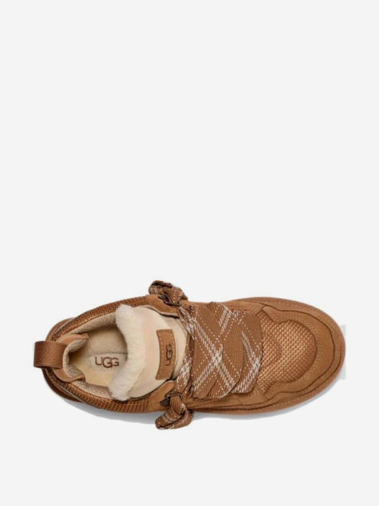 Кроссовки UGG Lowmel