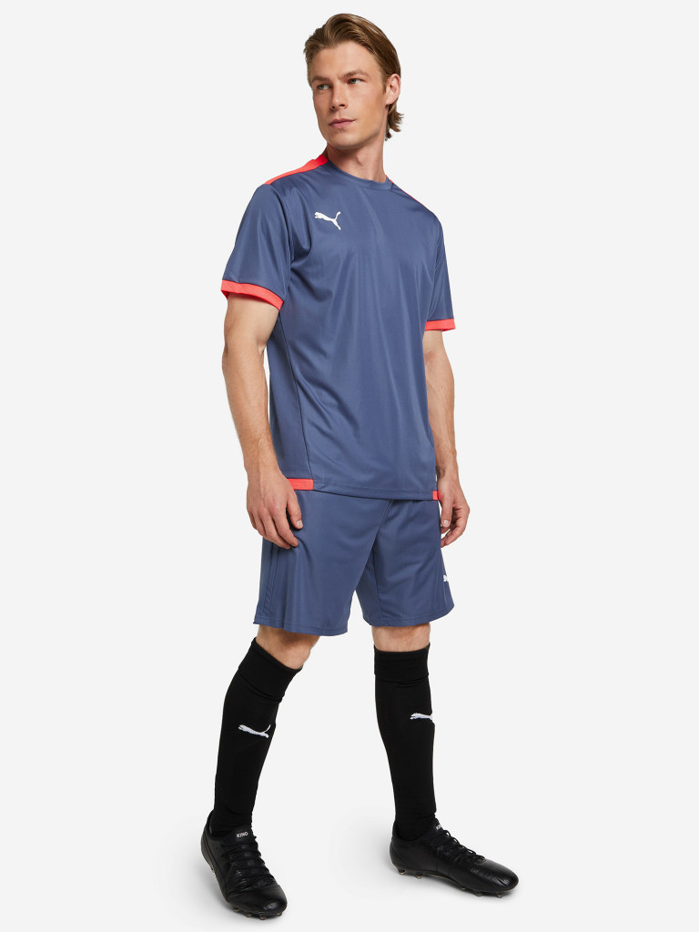 Шорты мужские PUMA Team Liga