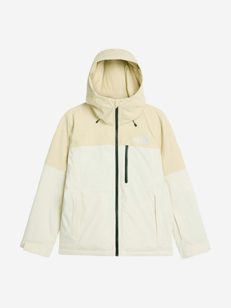 Куртка горнолыжная женская The North Face Freedom Insulated