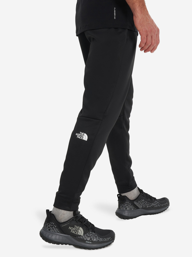 Брюки флисовые мужские The North Face Reaxion
