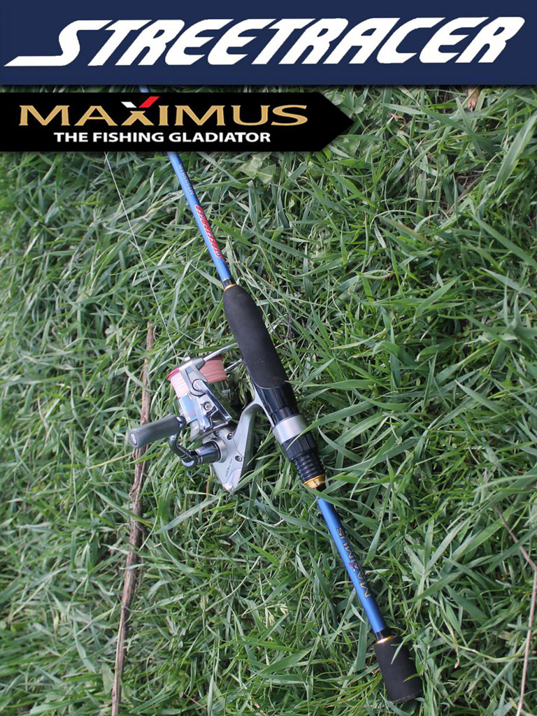 Спиннинг для рыбалки Maximus STREETRACER 19L 1,9m 3-12g твичинговое