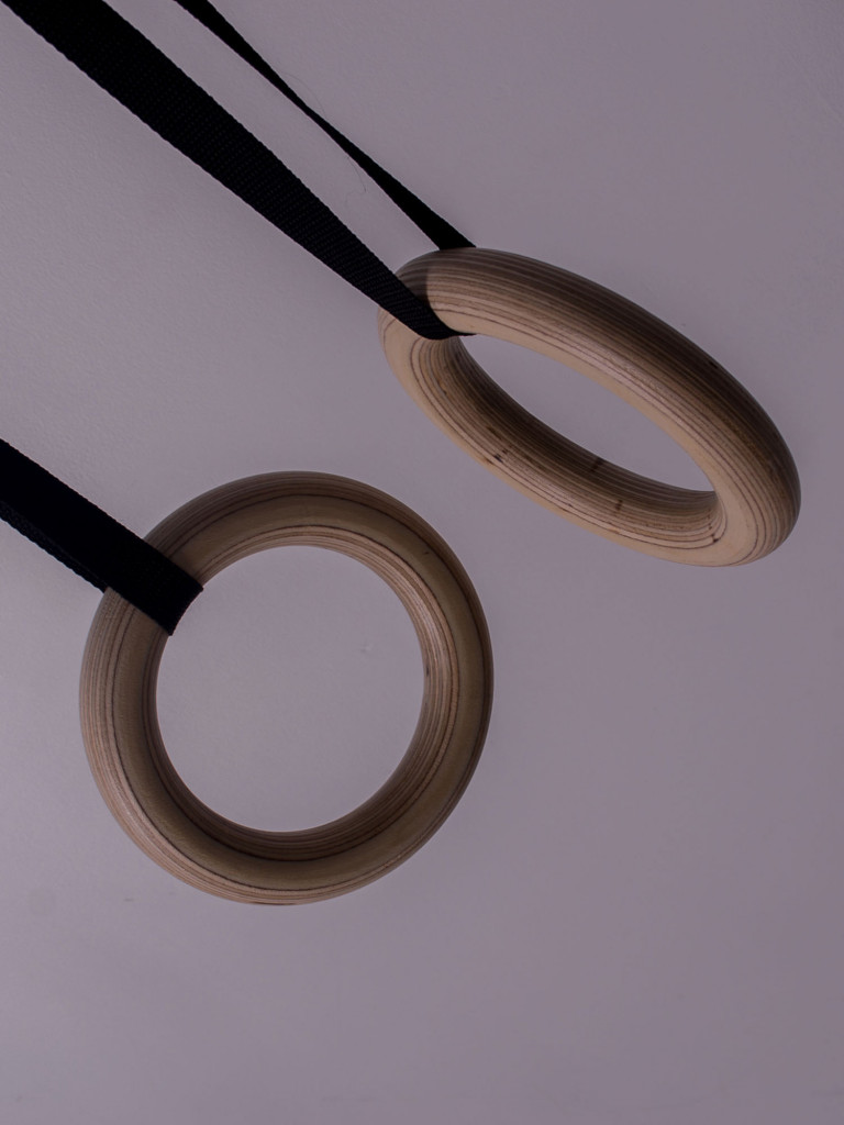 Кольца гимнастические для WORKOUT 2м, SportGid