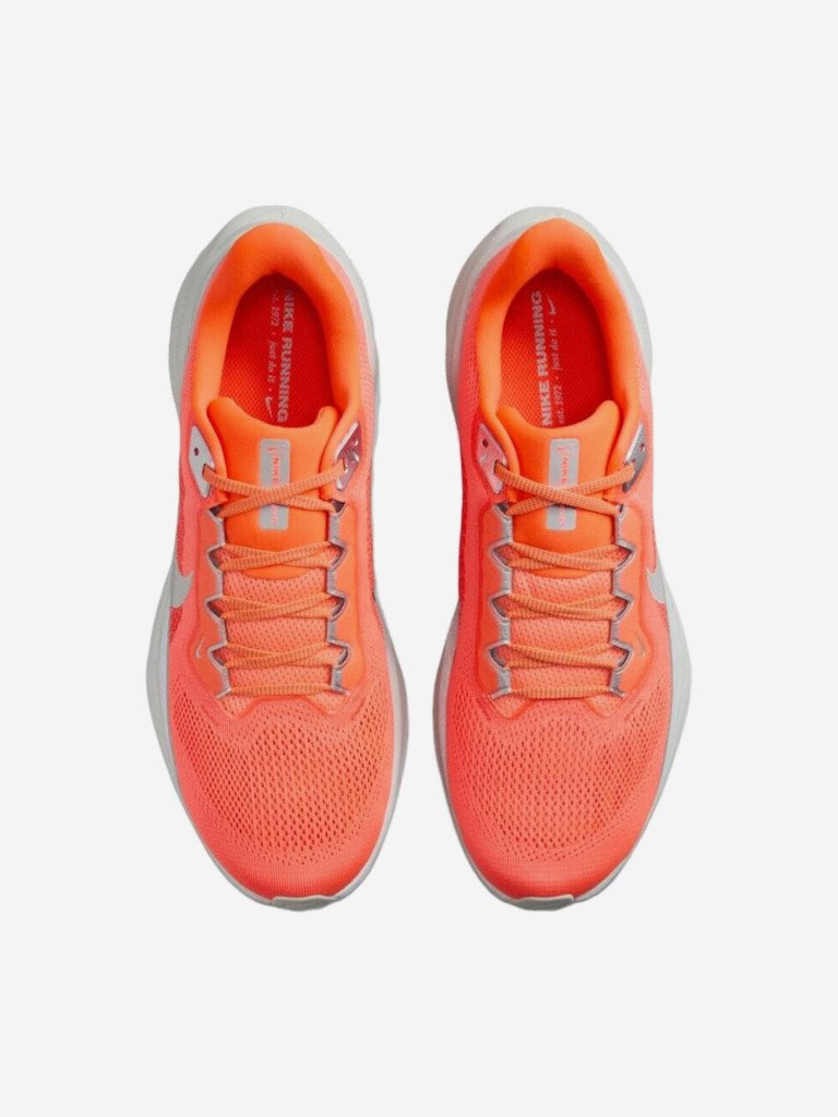 Кроссовки Nike Air Zoom Pegasus 41