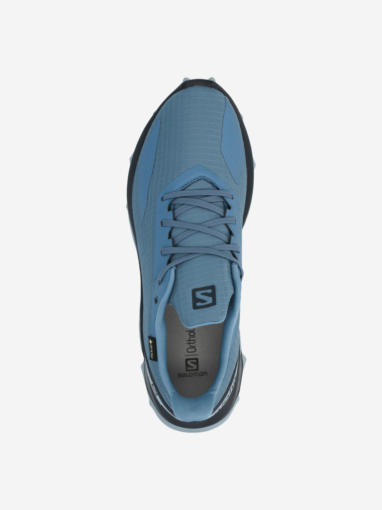 Кроссовки женские Salomon Alphacross Blast Gtx