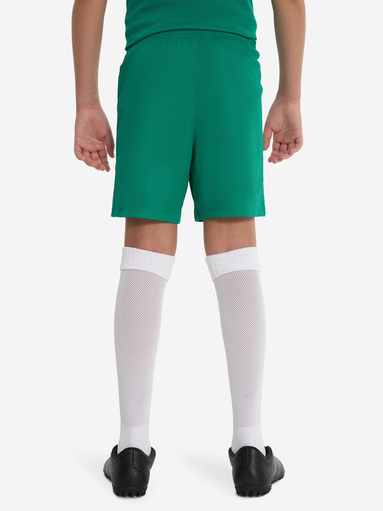 Шорты для мальчиков PUMA Teamliga Jr