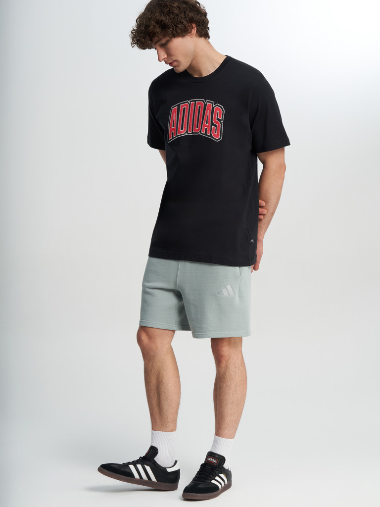 Футболка мужская Adidas Stad Colleg