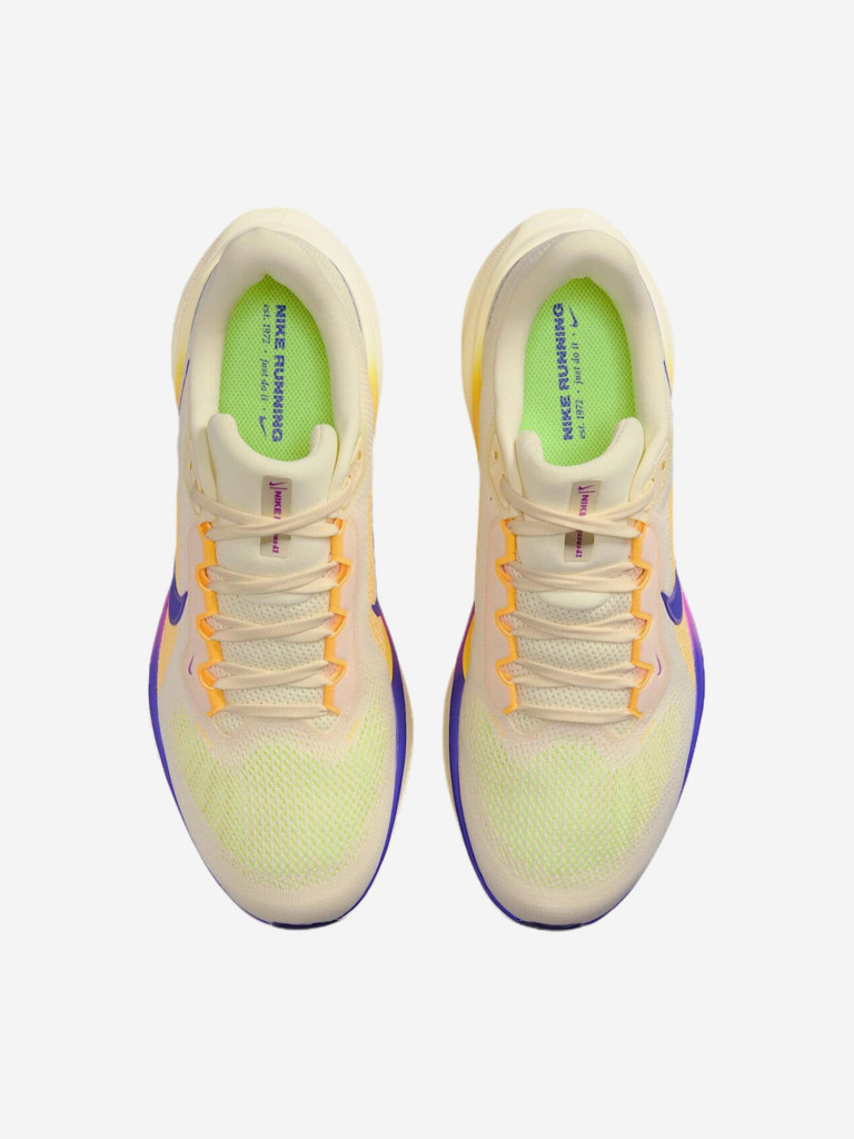 Кроссовки мужские Nike Pegasus 41
