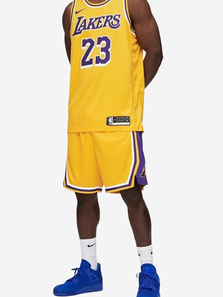 Майка баскетбольная Nike LeBron James Icon Swingman