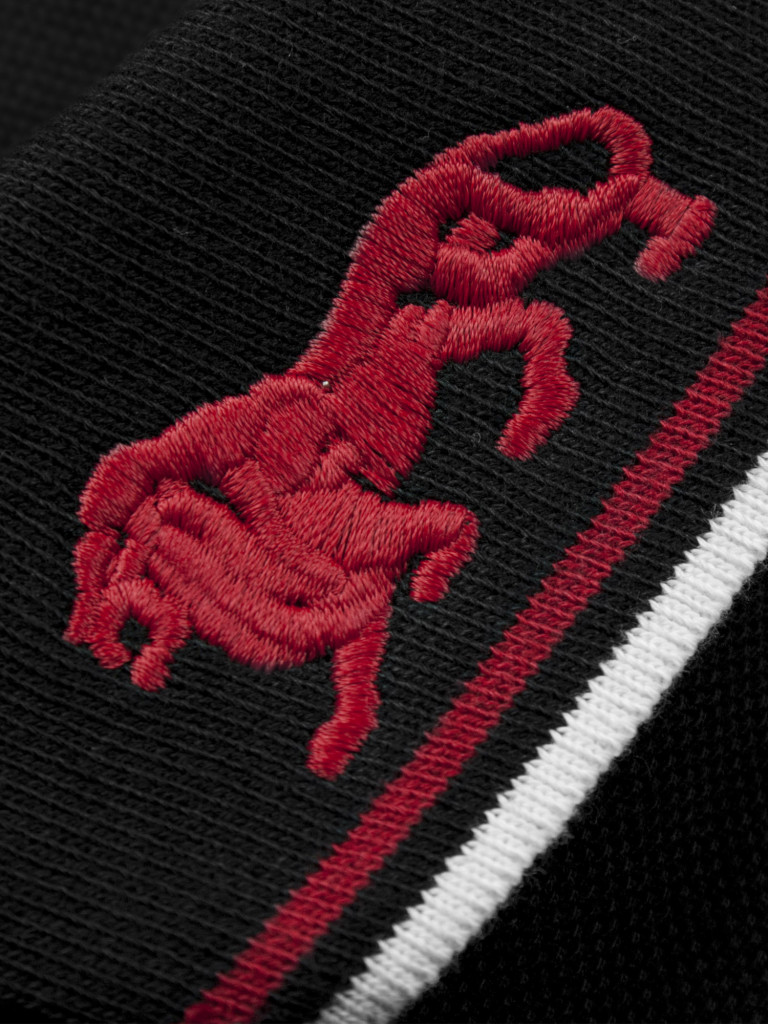 Футболка мужская LONSDALE LION