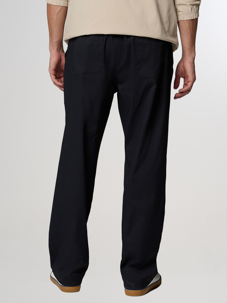 Брюки мужские Columbia Landroamer Scout Pant