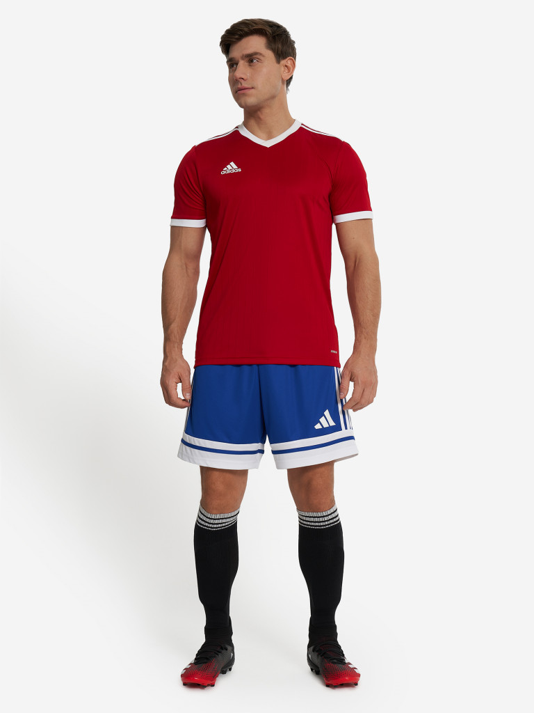 Шорты мужские adidas Squa25